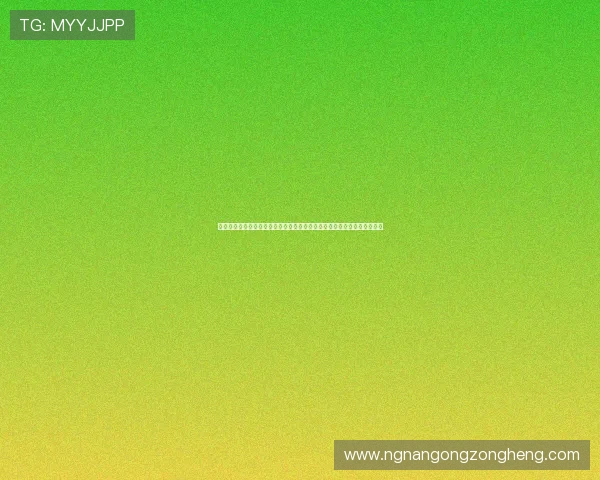 利用小刀娱乐局域网优化体育网站世界杯专题页面提升访问速度与用户粘性