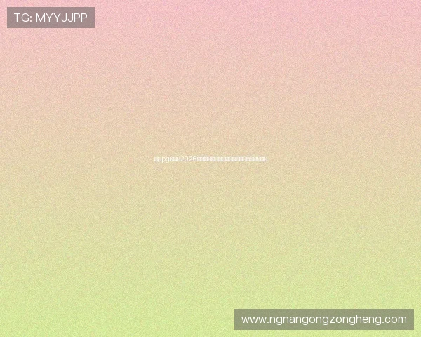 南宫pg娱乐：2026世界杯赛场上的战术分析与球队战绩最新统计